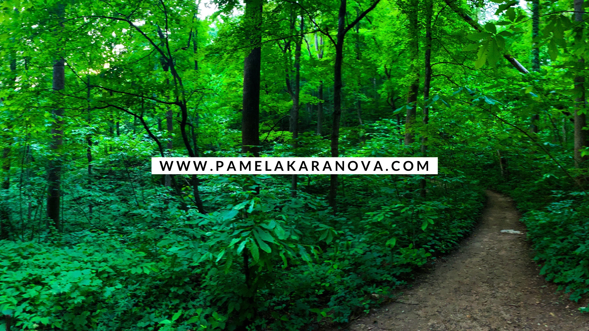 474287be-b436-4ecf-a071-0eb8b75cb317